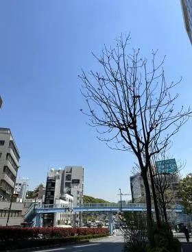白寿本社ビルの外観