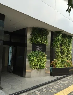 ヤナセ渋谷ビルの外観
