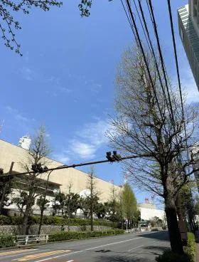 日本アムウェイ本社の外観