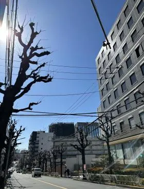 NBF渋谷イーストビルの外観