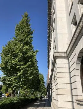 明治生命館ビルの外観