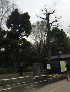 NMF青山一丁目ビルの外観