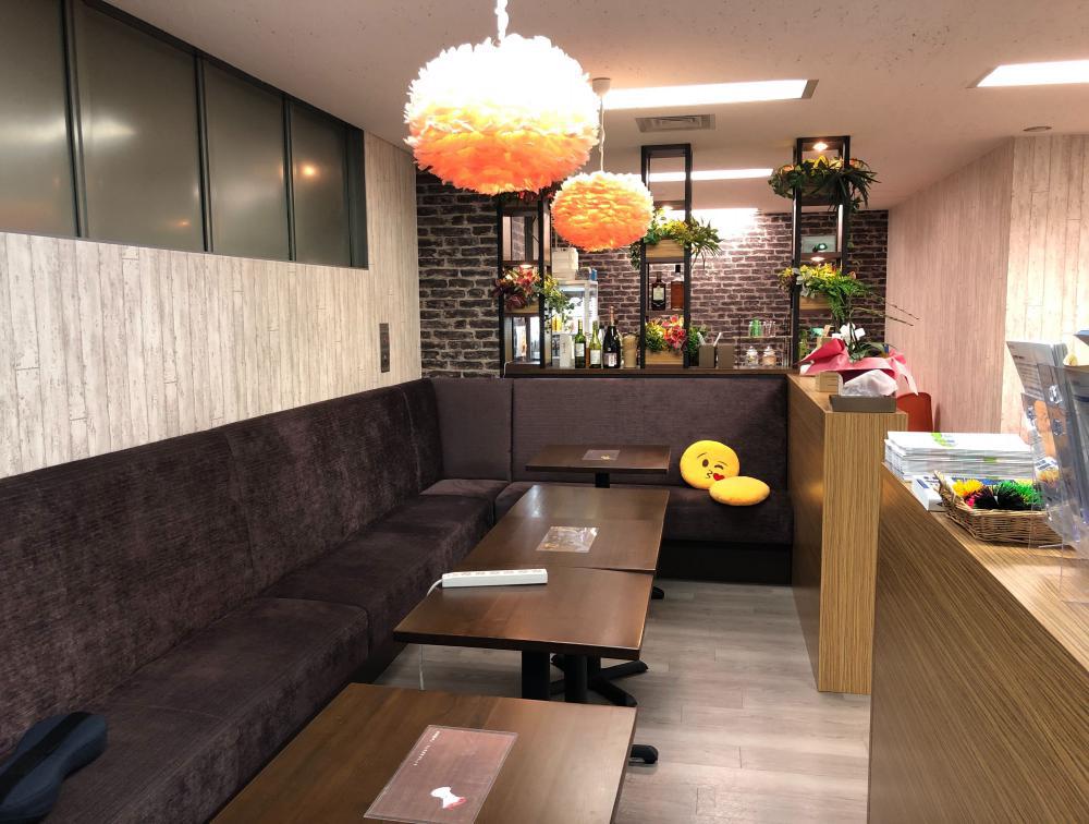 無料会員限定情報