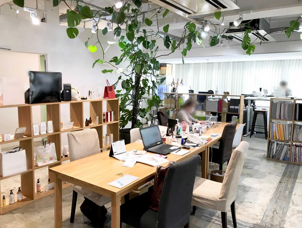 東京都中央区銀座の居抜き賃貸オフィス物件(約50坪) ｜居抜きオフィス物件検索サイト【vivit-ビビット】（1）