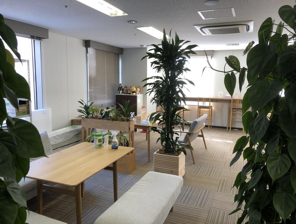 無料会員限定情報