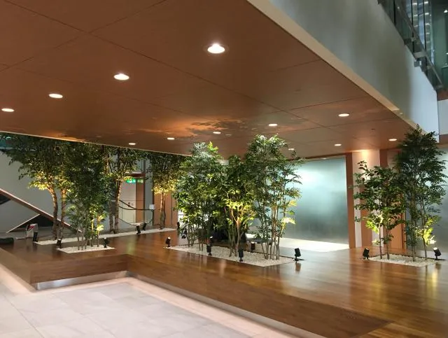東京都墨田区堤通の居抜き賃貸オフィス物件(約190坪) ｜居抜きオフィス物件検索サイト【vivit-ビビット】（11）