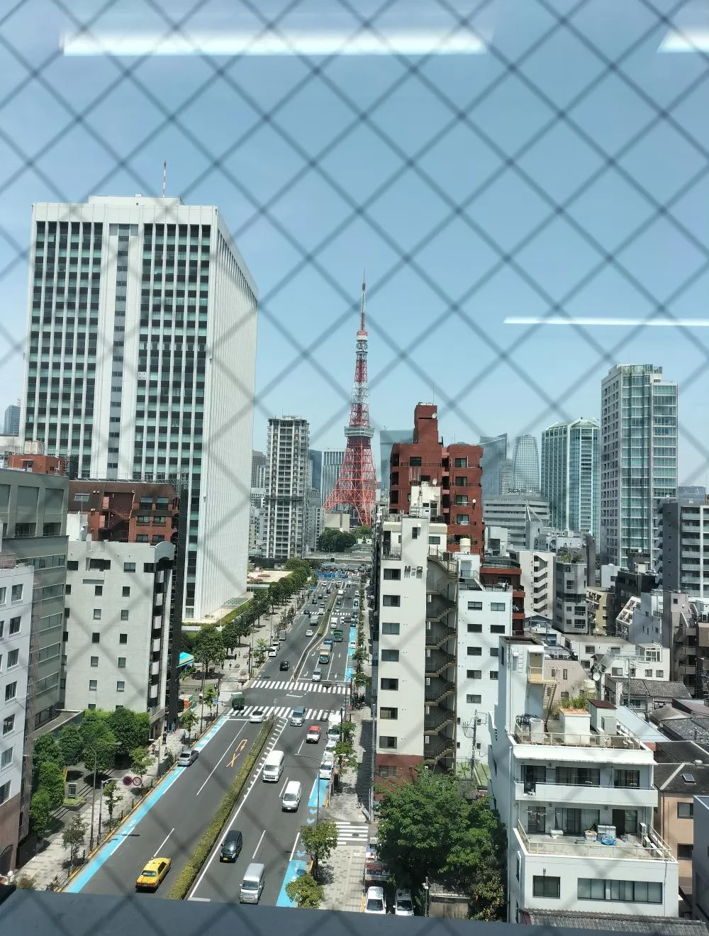 無料会員限定情報