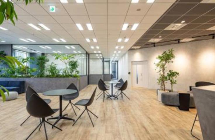 無料会員限定情報