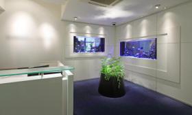 東京都中央区勝どきの居抜き賃貸オフィス物件(約150坪) ｜居抜きオフィス物件検索サイト【vivit-ビビット】（サムネイル1）