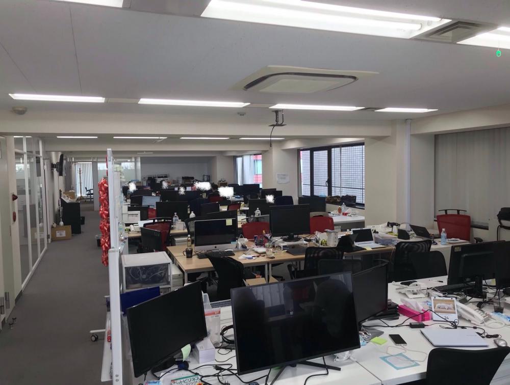 無料会員限定情報