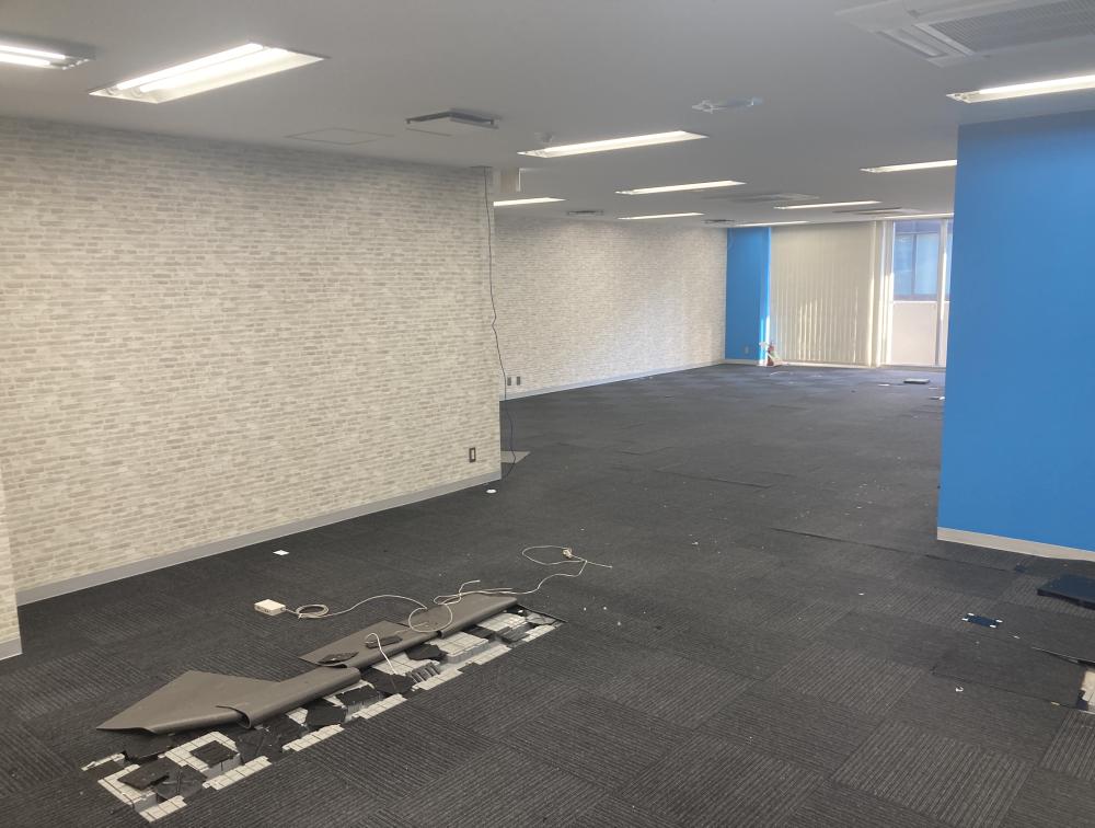 無料会員限定情報