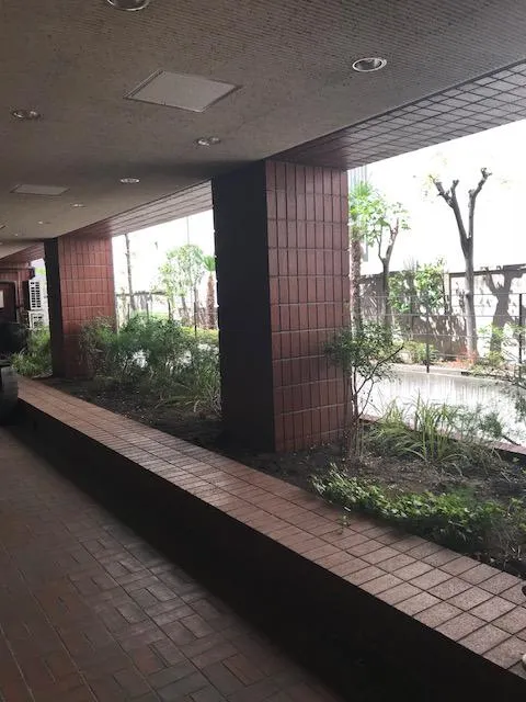東京都港区南青山の居抜き賃貸オフィス物件(約105坪) ｜居抜きオフィス物件検索サイト【vivit-ビビット】（5）