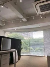 無料会員限定情報