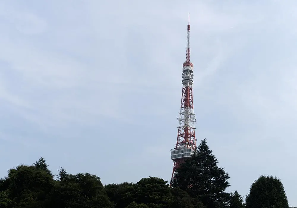 会議室2部屋・テレブース1部屋 神谷町駅徒歩1分の居抜き賃貸オフィス物件(約45坪) ｜居抜きオフィス物件検索サイト【vivit-ビビット】（7）