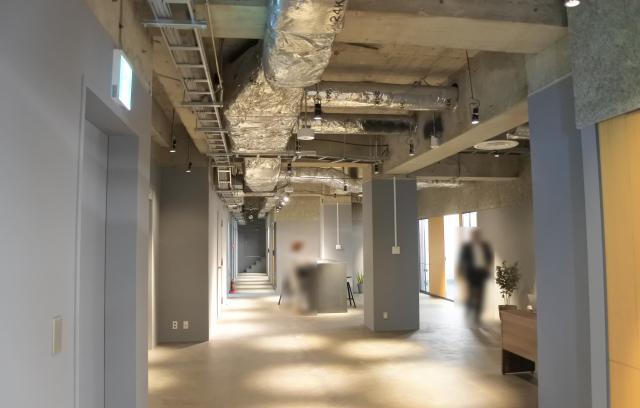 無料会員限定情報