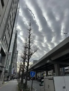 豊ビルの外観