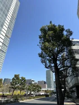 YBビルの外観