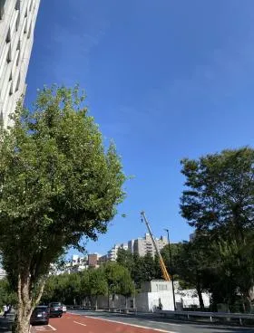パックスビルの外観