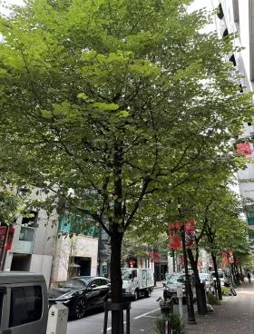 SPAZIO BRERA GINZAビルの外観