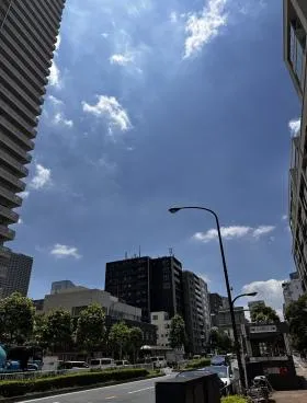 月島ムーンアイランドタワービルの外観