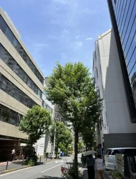 ザ・シティ一番町4の外観