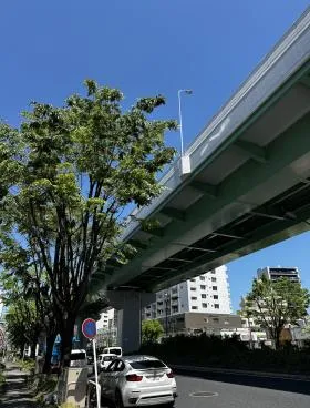 松井の外観