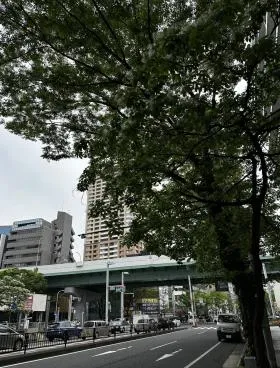 東海の外観
