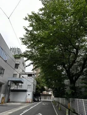 オーキッドの外観