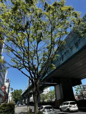 サンシャイン名駅の外観