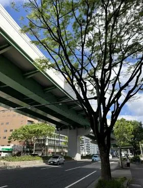 ネットプラザ柳橋の外観