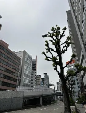ロータリーオフィス１ＳＴビル(ロータリーオフィスファーストビル)の外観