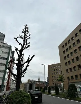 ＩＴ名駅ビル(アイティー名駅ビル)の外観