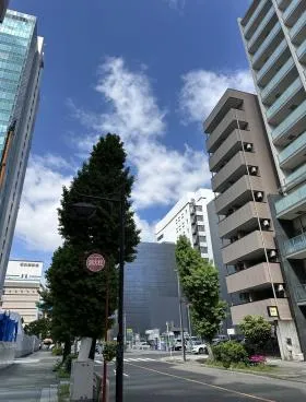 ヨンゴーの外観