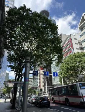 ニッタの外観