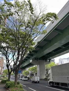 Ｋｉｎｊｉｒｏ名駅Ｍｉｎａｍｉビル(キンジロウ名駅ミナミビル)の外観