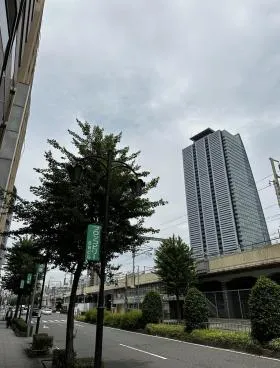熱化の外観