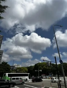 ＣＫ１６伏見ビル(シーケー１６伏見ビル)の外観