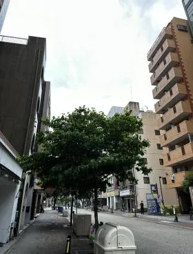 白川本町の外観