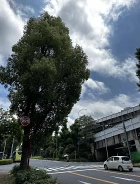 ヤスイの外観