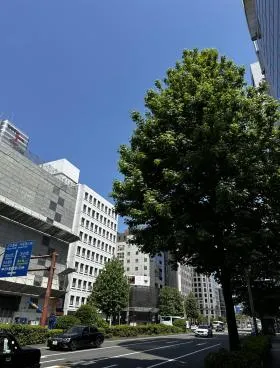 ＡＴ(エーティー)の外観