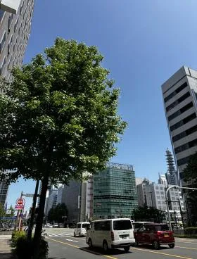 三晃錦の外観