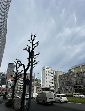 ＮＯＲＥ伏見ビル(ノア伏見ビル)の外観
