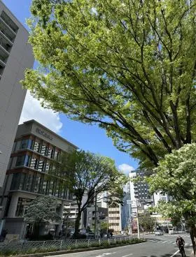 三甲名古屋錦の外観