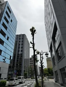 ミワの外観