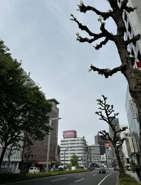 ミツワの外観