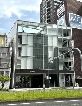 ステラ錦の外観