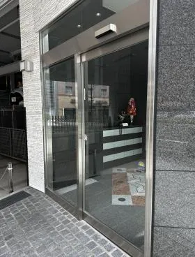 ステラ錦の外観