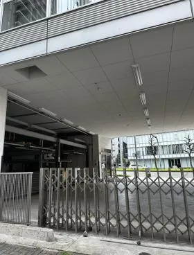 ステラ錦の外観