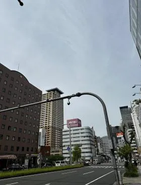 ステラ錦の外観