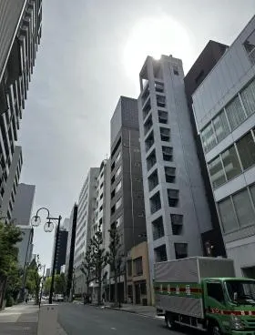 ステラ錦の外観